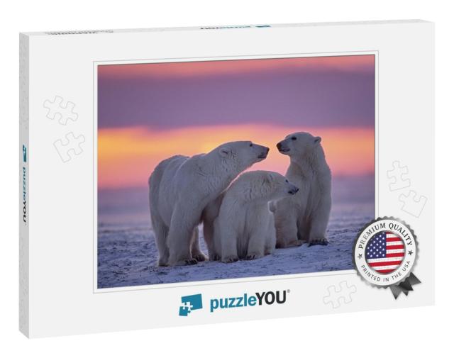 Polar Bear Family in Canadian Arctic Sunset... Jigsaw Puzzle