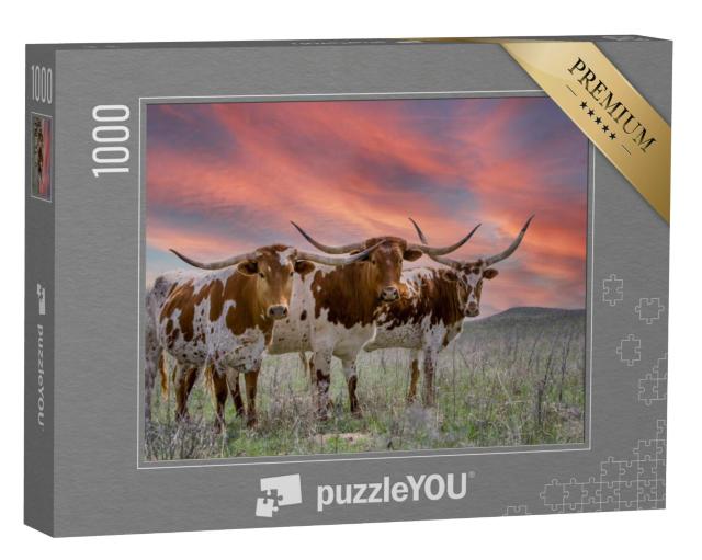 Puzzel 1000 stukjes „Texas longhorn vee op een weide in de Oklahoma Panhandle“