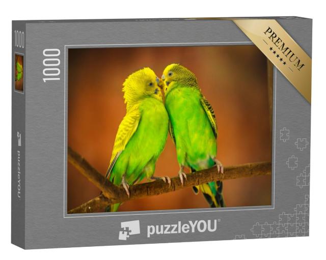 Puzzel 1000 stukjes „Geelgroene grasparkieten poetsen op een tak“