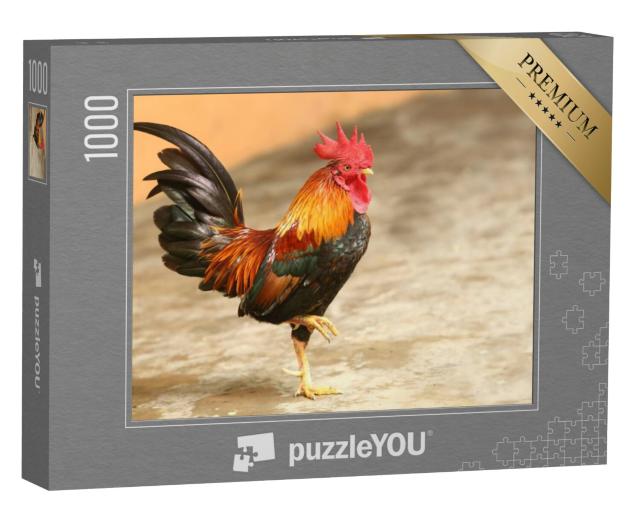 Puzzel 1000 stukjes „Cock“