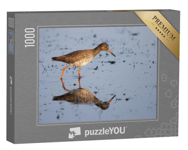 Puzzel 1000 stukjes „Tureluur loopt door het water, Texel, Nederland“