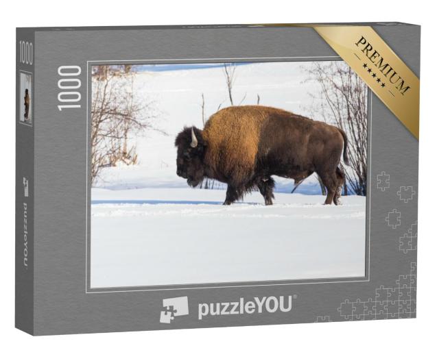 Puzzel 1000 stukjes „Amerikaanse bizons midden in het winterlandschap“