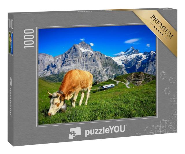 Puzzle 1000 Teile „Aplenpanorama bei Grindelwald First, Schweiz“