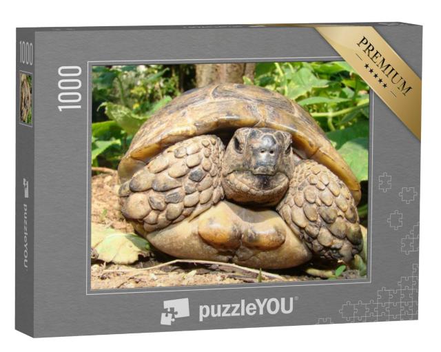 Puzzel 1000 stukjes „Gedetailleerde close-up van een schildpad“