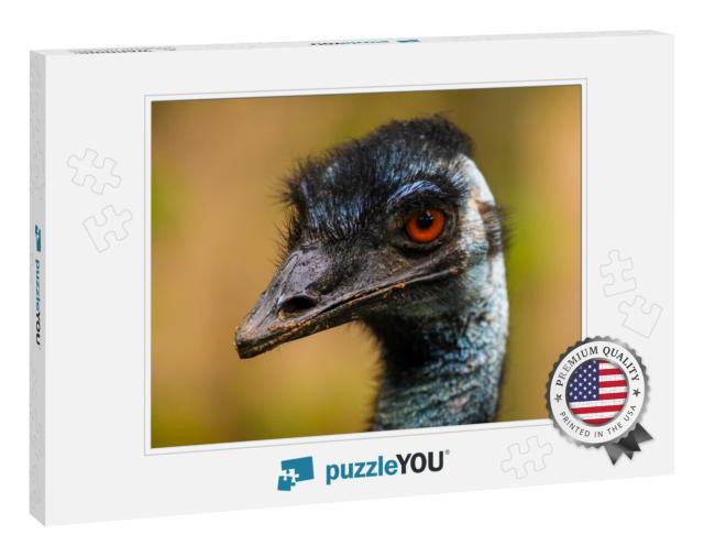 Close Up Portrait of Emus Showing Beak & Head on a Blurre... Jigsaw Puzzle