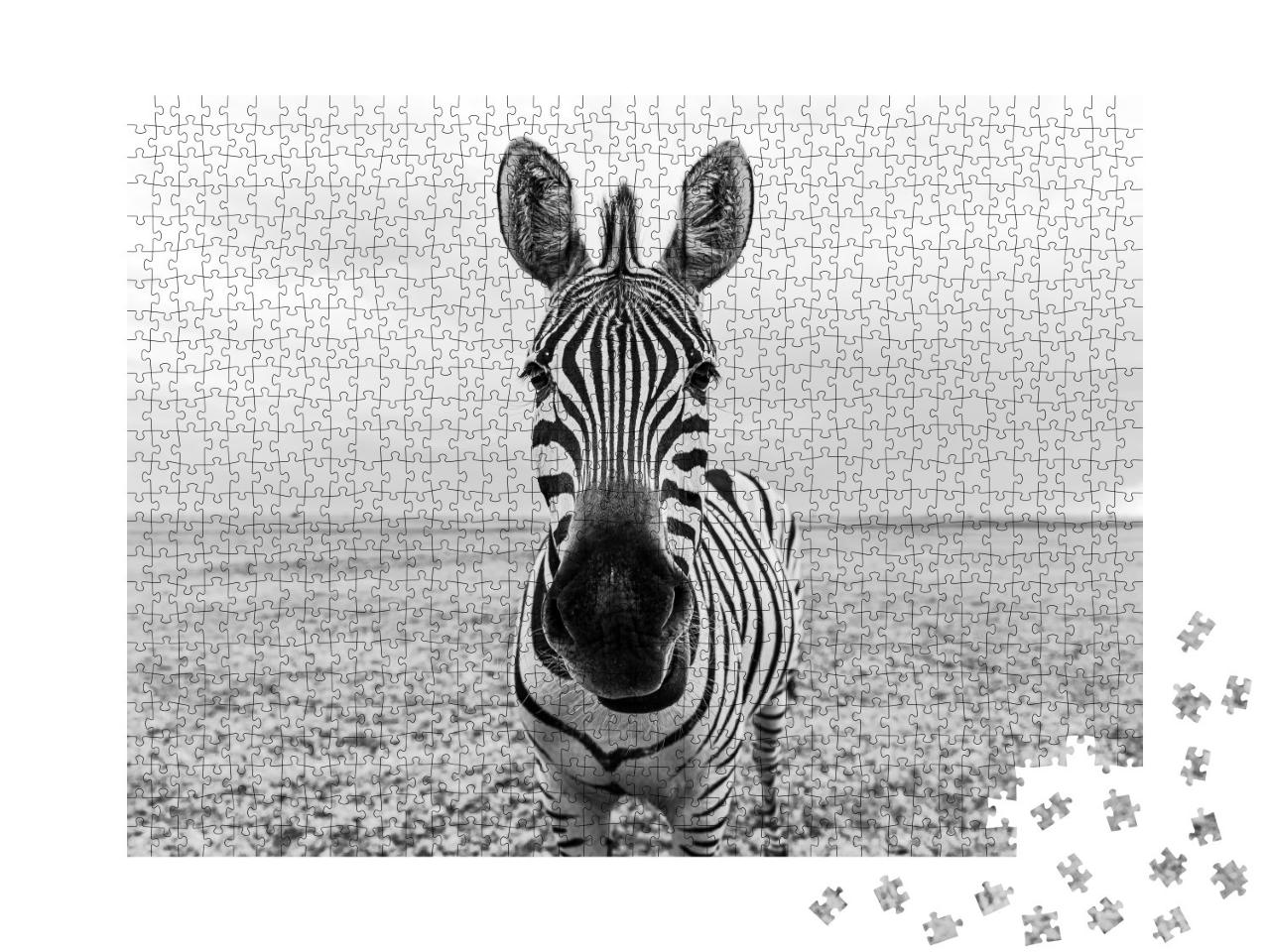 Puzzle 1000 Teile „Auge in Auge mit einem Zebra, schwarz-weiß“