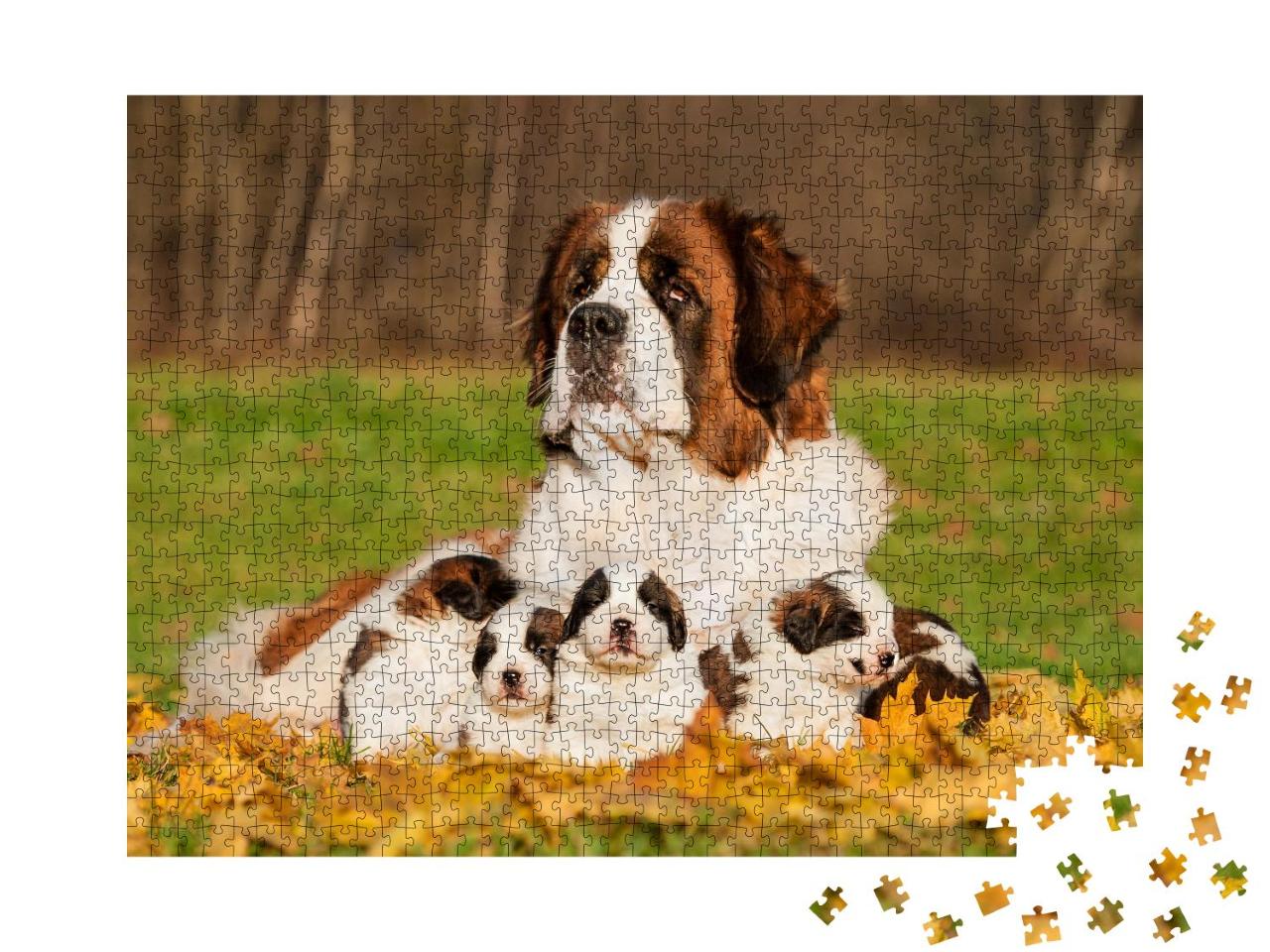 Puzzle 1000 Teile „Bernhardinerhund mit Welpen im Herbst“