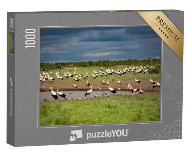 Puzzel 1000 stukjes „Een zwerm witte ooievaars bij een drinkplaats“