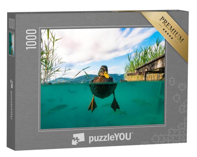 Puzzel 1000 stukjes „Onderwaterfoto van een eend, Oostenrijk“