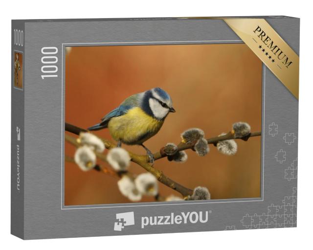 Puzzel 1000 stukjes „Kleine pimpelmees op een wilgentak“