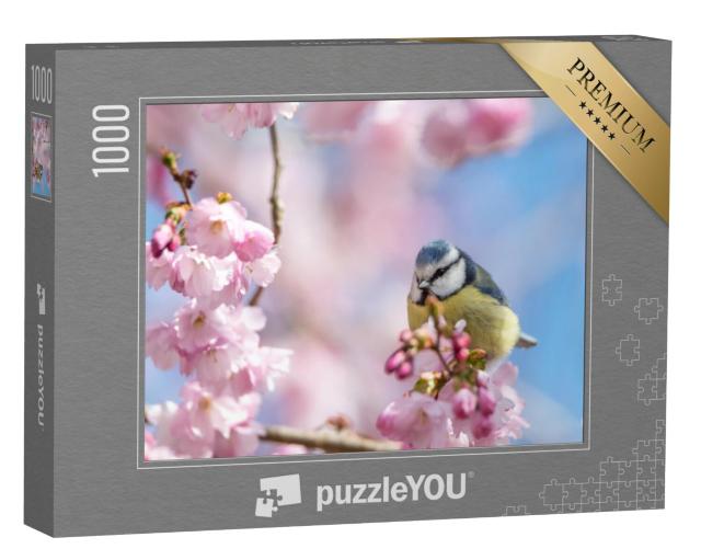 Puzzel 1000 stukjes „Een pimpelmees zit op een mooie tak met kersenbloesems“