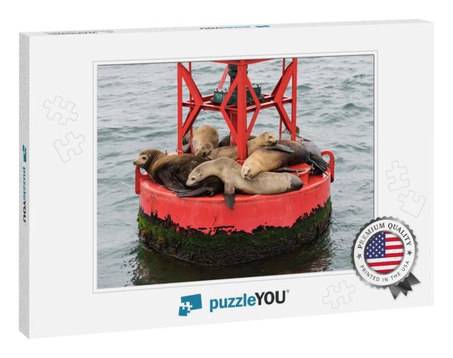 Lazy Sleepy Sea Lions on Buoy Near Channel Islands Nation... Jigsaw Puzzle