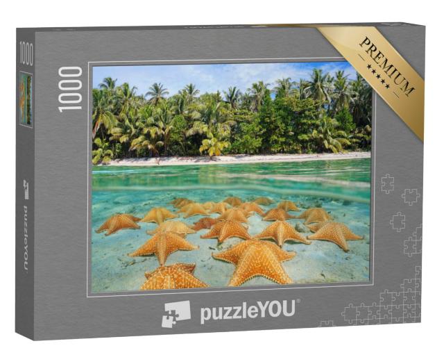 Puzzel 1000 stukjes „Een groep zeesterren op een Caribisch strand“