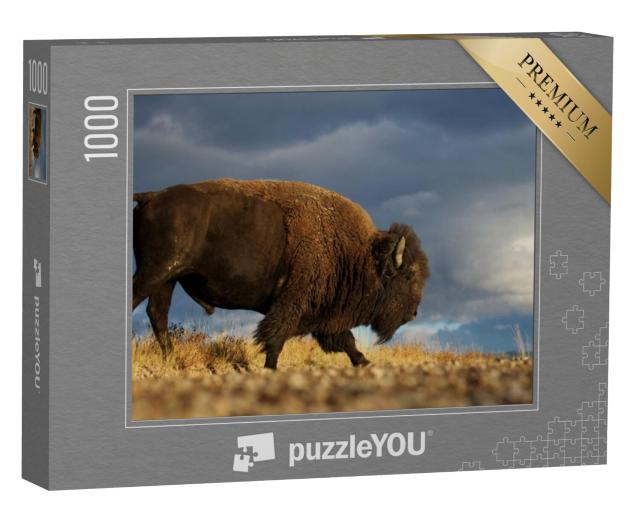 Puzzel 1000 stukjes „Amerikaanse bizon oftewel buffel tegen een dramatische prairiehemel, Montana“