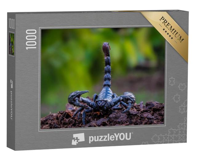 Puzzel 1000 stukjes „Zwarte orkenschorpioen, de dodelijke reuzenschorpioen“