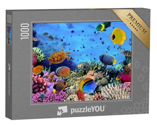 Puzzel 1000 stukjes „Koraalkolonie in de Rode Zee, Egypte“