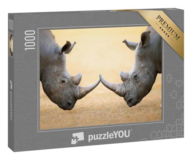 Puzzle 1000 Teile „Breitmaulnashörner, Kopf an Kopf - Kruger National Park, Südafrika“