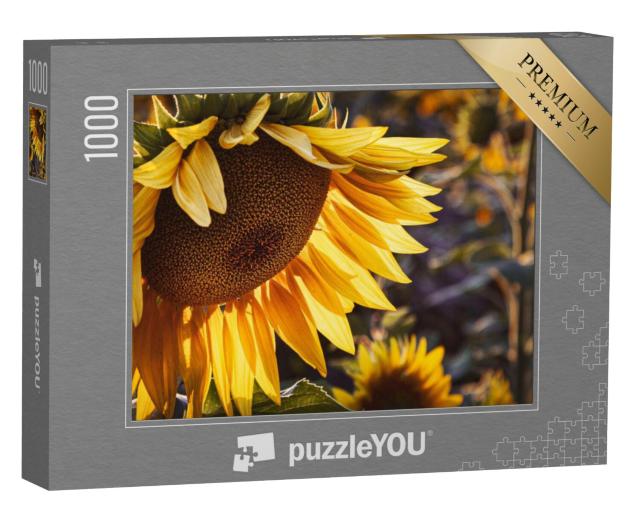 Puzzel 1000 stukjes „Gele zonnebloem bij zonsondergang“