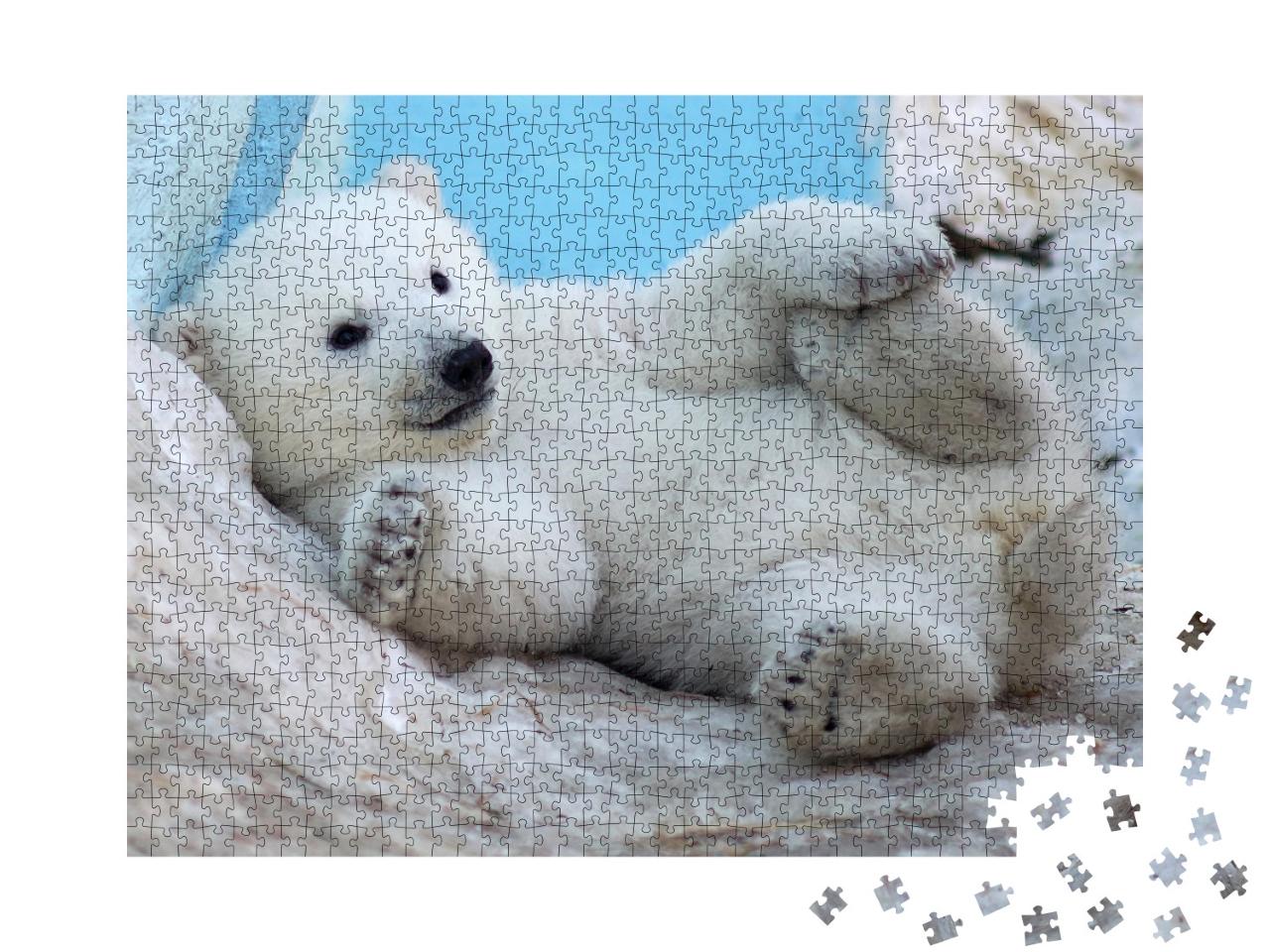 Puzzle 1000 Teile „Ein Eisbärenjunges liegt auf dem Rücken im Schnee“