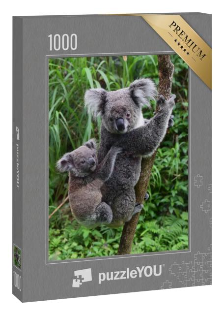 Puzzle 1000 Teile „Koala-Baby auf dem Rücken seiner Mutter im Zoo von Taipeh, Taiwan“