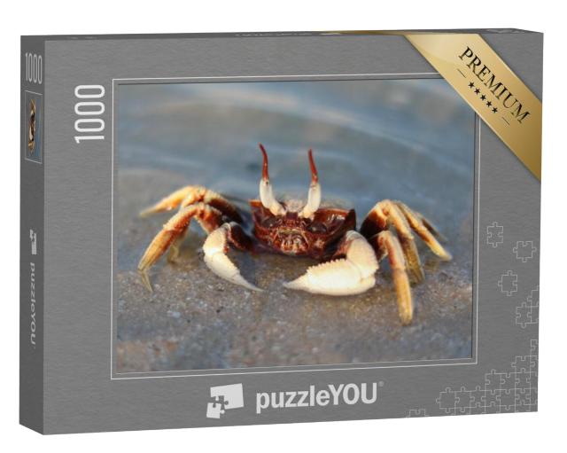 Puzzel 1000 stukjes „Spookoogkrab in zee“