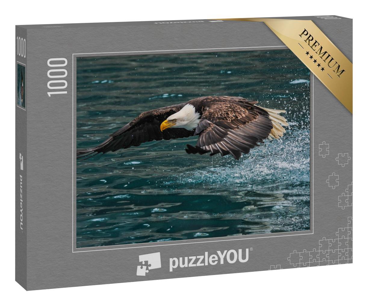 Puzzle 1000 Teile „Amerikanischer Weißkopfseeadler schnappt nach einem Fisch“