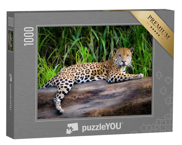 Puzzel 1000 stukjes „Een jaguar in het Peruaanse Amazonegebied“