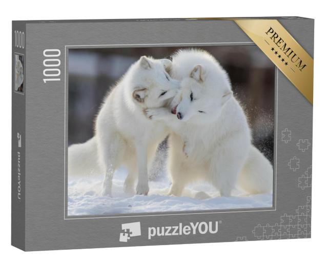 Puzzel 1000 stukjes „Vechtende poolvossen“