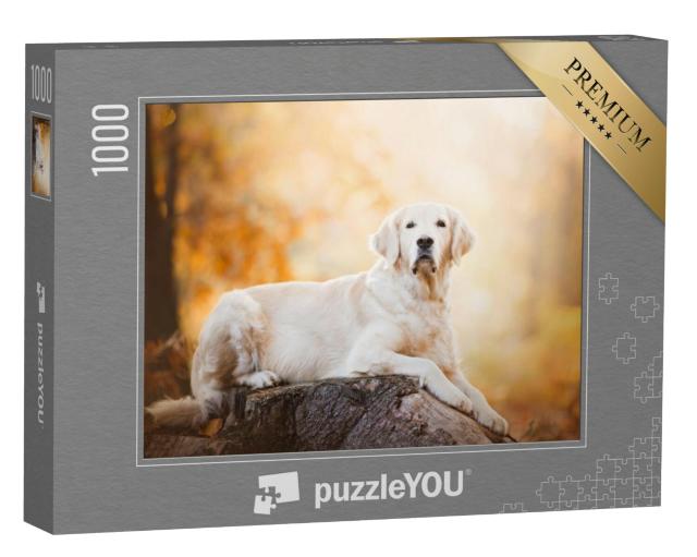 Puzzel 1000 stukjes „Attente Golden Retriever“