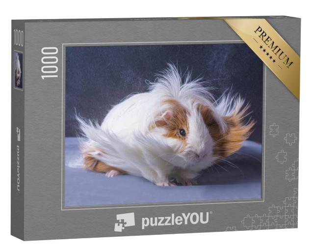 Puzzel 1000 stukjes „Cavia's met lang haar“