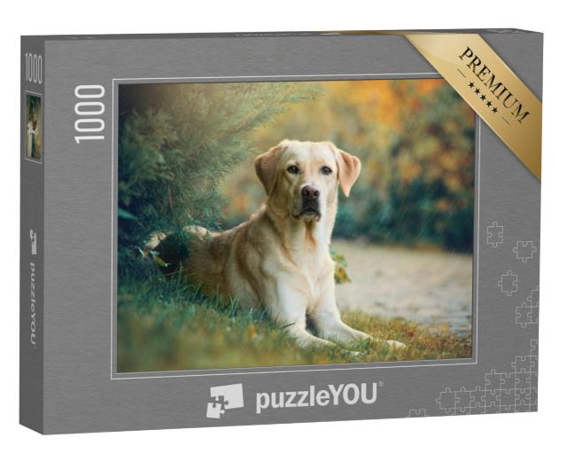 Puzzel 1000 stukjes „Labrador Retriever hond onder een boom“