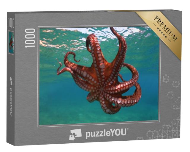 Puzzel 1000 stukjes „Octopussen zwemmen in een tropische baai“