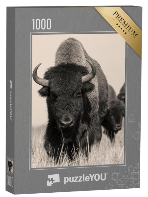 Puzzel 1000 stukjes „Amerikaanse bizon of buffel“