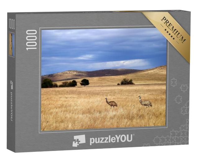 Puzzel 1000 stukjes „Emoes in Zuid-Australië“