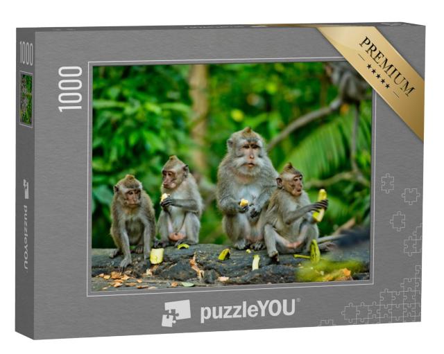 Puzzel 1000 stukjes „Volwassen apen eten bananen, Bali“