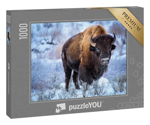 Puzzle „Amerikanischer Bison im Schnee, Yellowstone-Nationalpark“