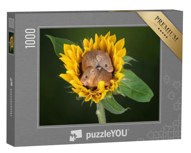 Puzzel 1000 stukjes „Twee muizen knuffelen in een zonnebloem“