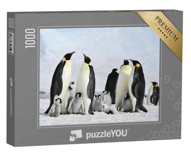 Puzzel 1000 stukjes „Keizerspinguïnkolonie met jongen op Antarctica“