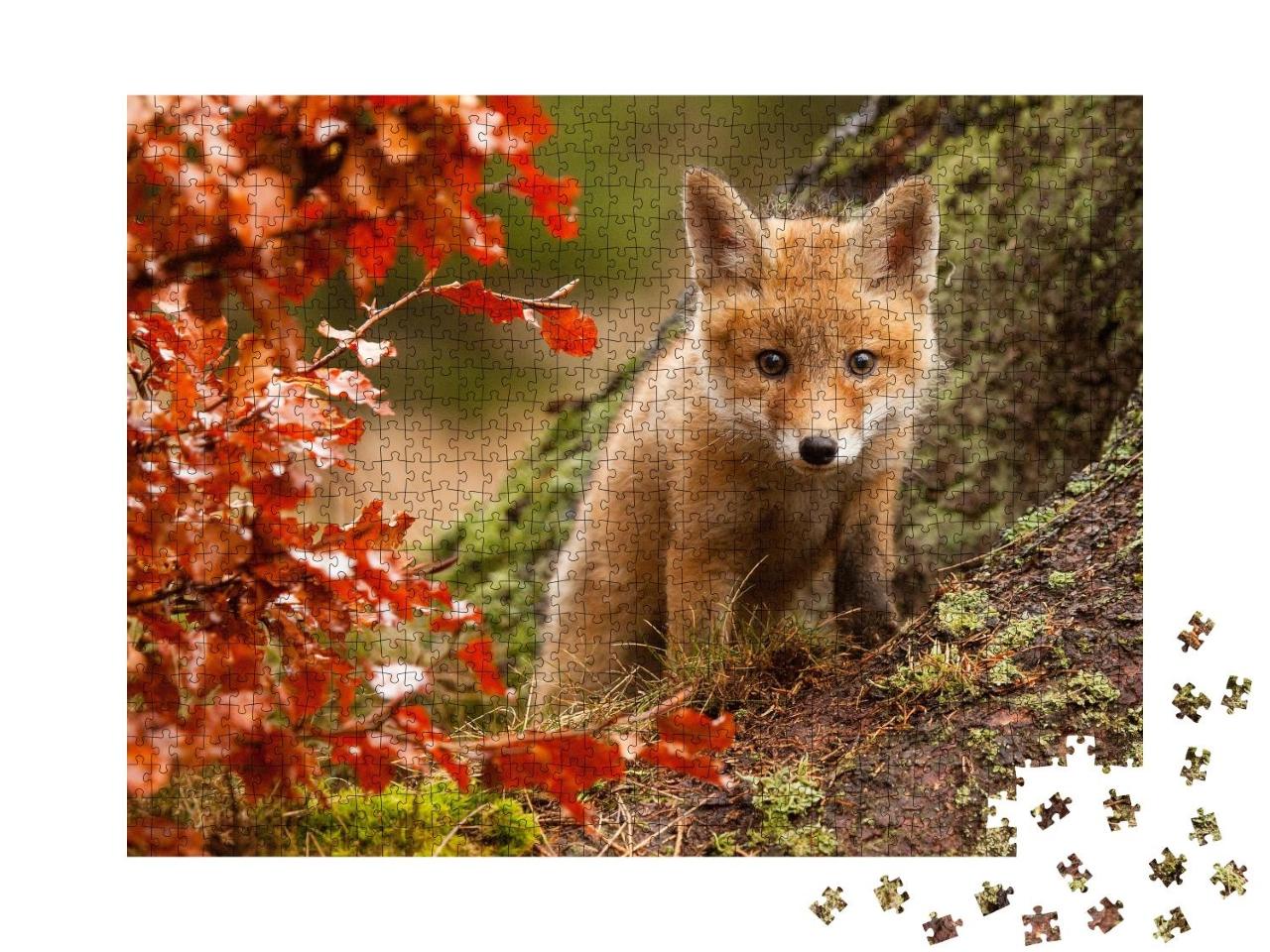 Puzzle 1000 Teile „Neugieriges Fuchsjunges“