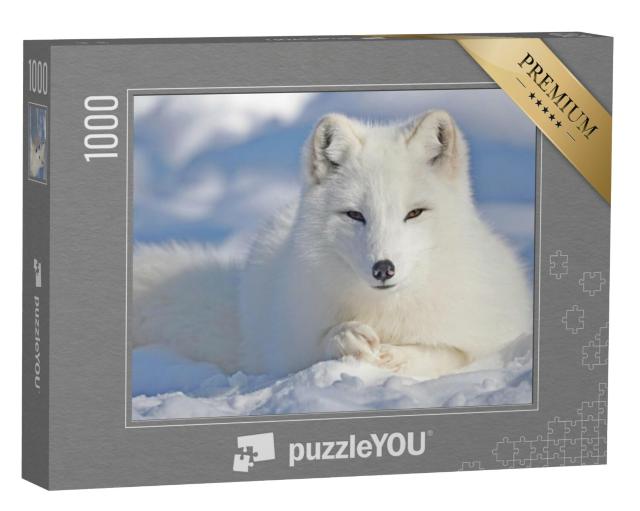 Puzzel 1000 stukjes „Mooie poolvos in de sneeuw“