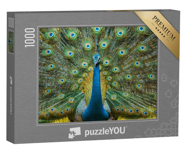 Puzzel 1000 stukjes „Pauw, nationale vogel van India“