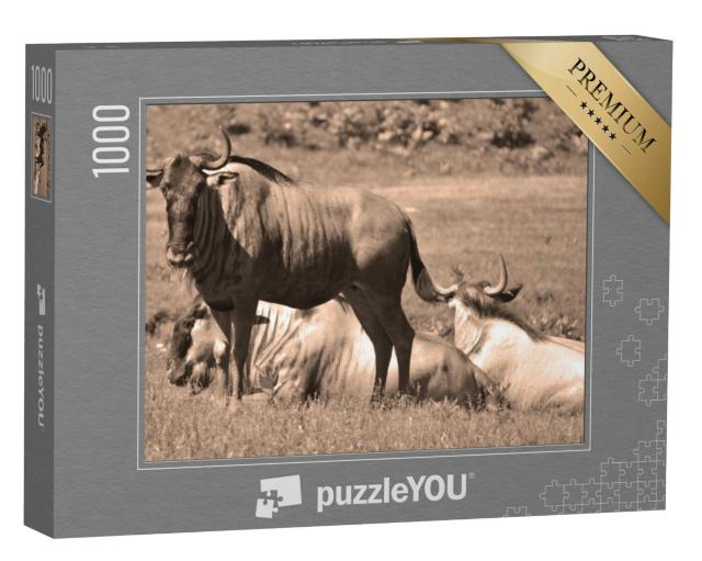 Puzzel 1000 stukjes „Rustende gnoes op de savanne“