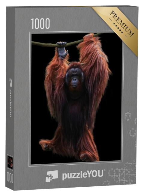 Puzzel 1000 stukjes „Orang-oetan hangt aan een touw“