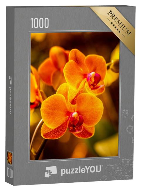 Puzzel 1000 stukjes „Fel oranje orchidee bloem“