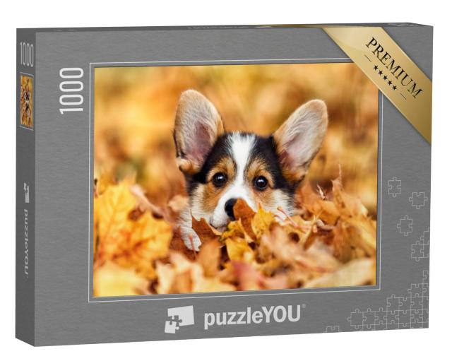 Puzzel 1000 stukjes „Welsh Corgi in herfstbladeren“