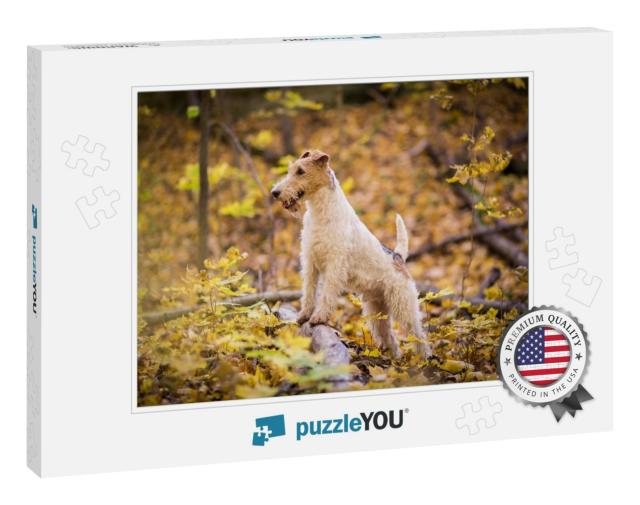 Wire-Haired Fox Terrier Autumn... Jigsaw Puzzle