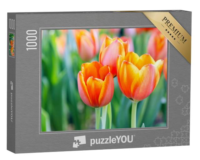 Puzzel 1000 stukjes „Heldere tulpen“