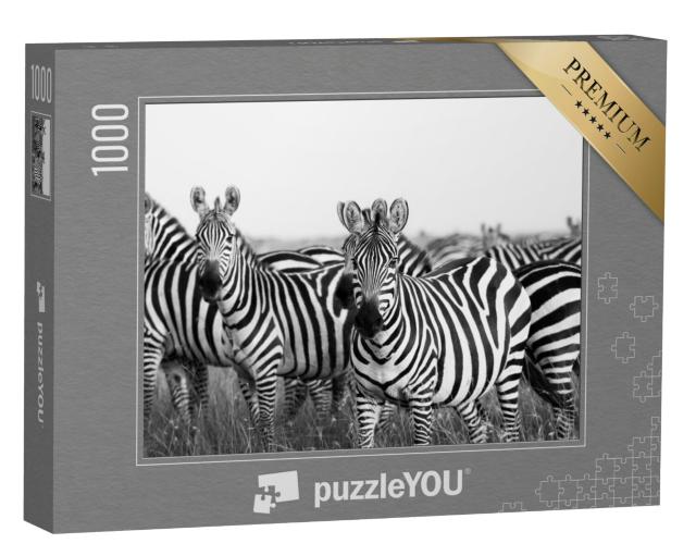 Puzzel 1000 stukjes „Kudde zebra's in de Masai Mara“