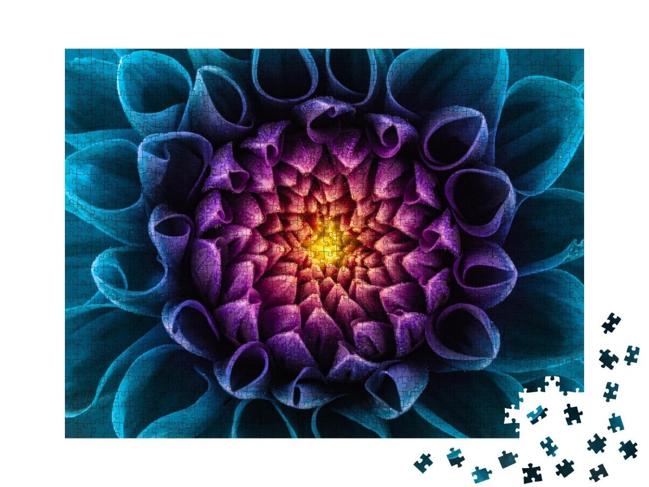 Puzzle 1000 Teile „Bunte Chrysantheme: Blume als Makroaufnahme“