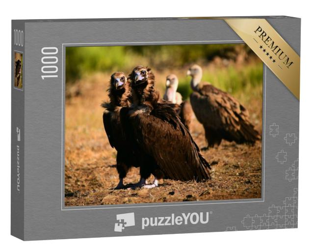 Puzzel 1000 stukjes „Zwarte gier in Spanje“